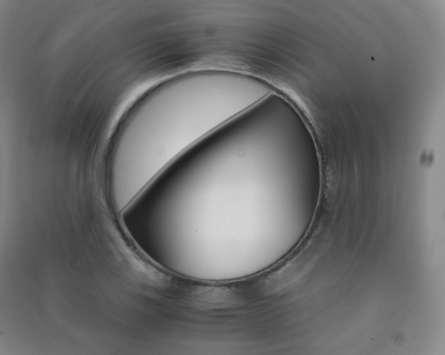 X0000091501123200708161228