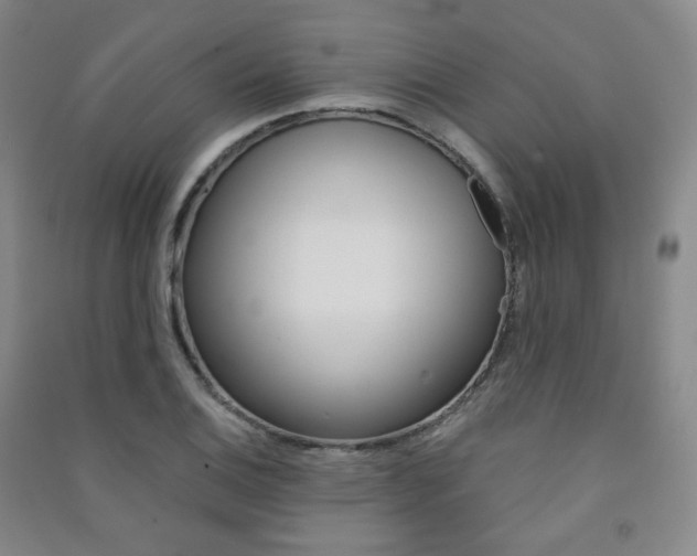 X0000091501124200708161228