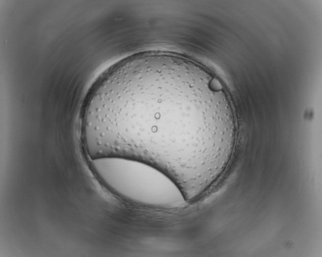 X0000091501125200708161228