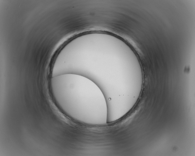 X0000091501126200708161228