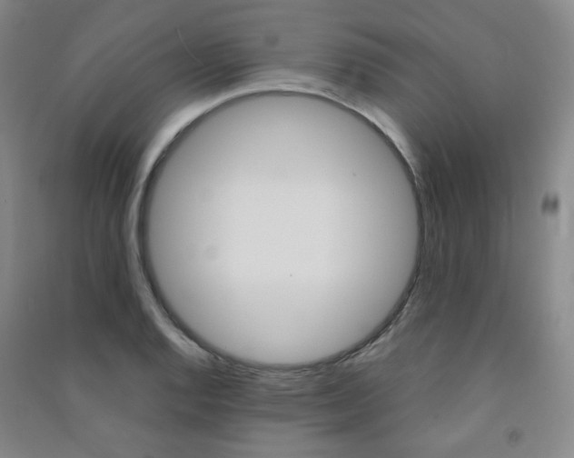 X0000091501128200708161228