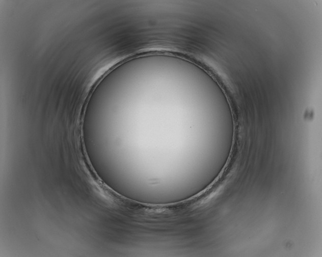 X0000091501129200708161228