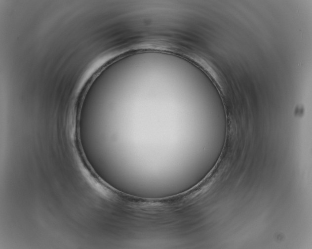 X0000091501131200708161228