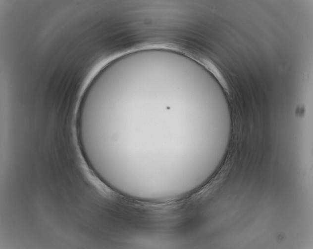 X0000091501132200708161228