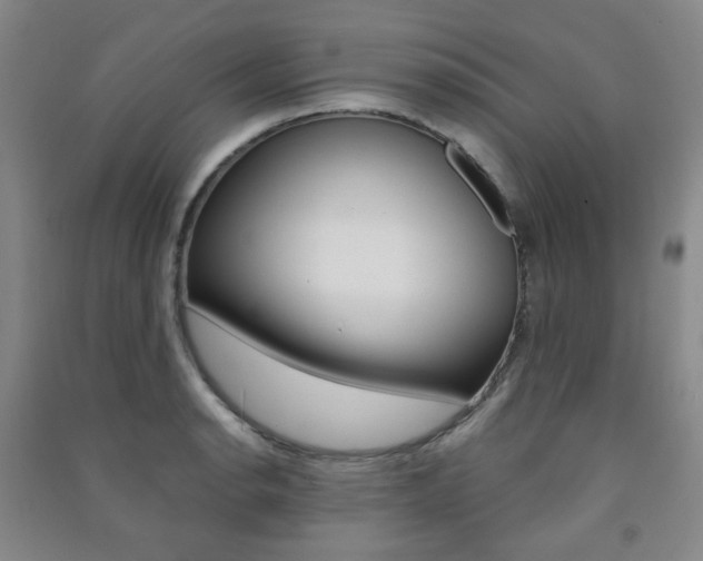 X0000091501134200708161228