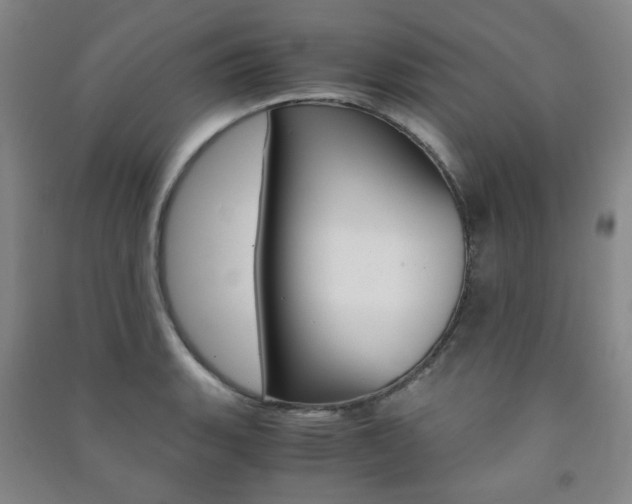 X0000091501135200708161228
