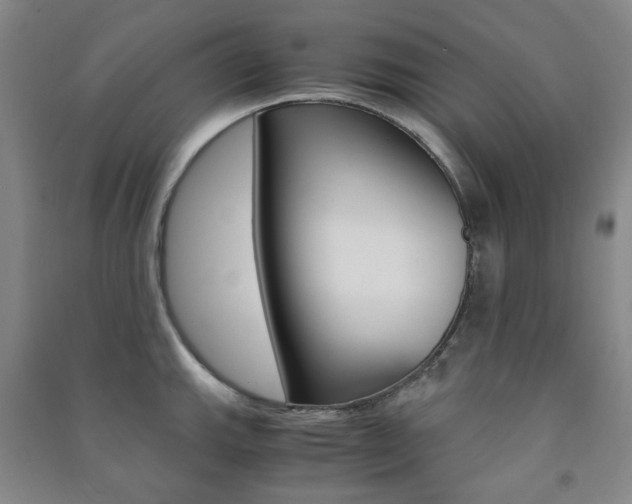 X0000091501143200708161229
