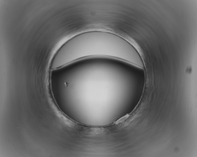 X0000091501144200708161229