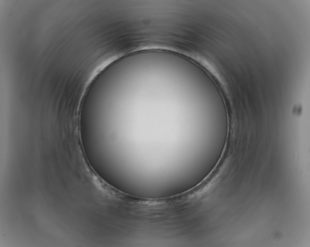 X0000091501145200708161229