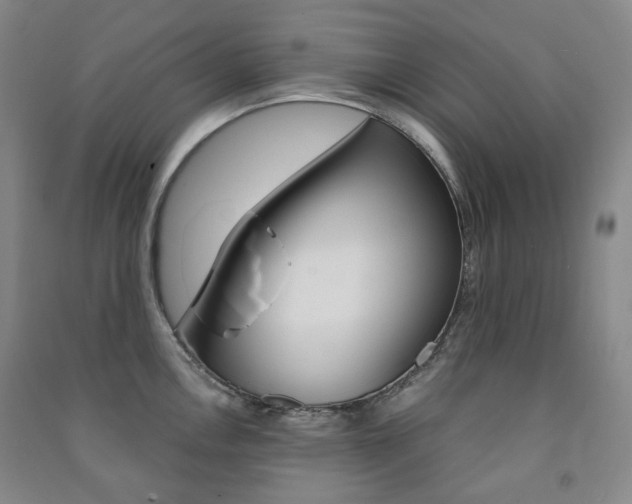 X0000091501146200708161229