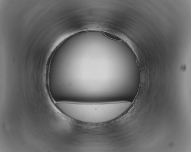 X0000091501147200708161229