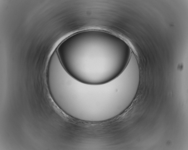 X0000091501148200708161229