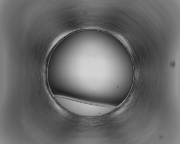 X0000091501149200708161229