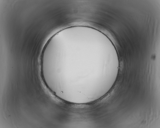 X0000091501150200708161229