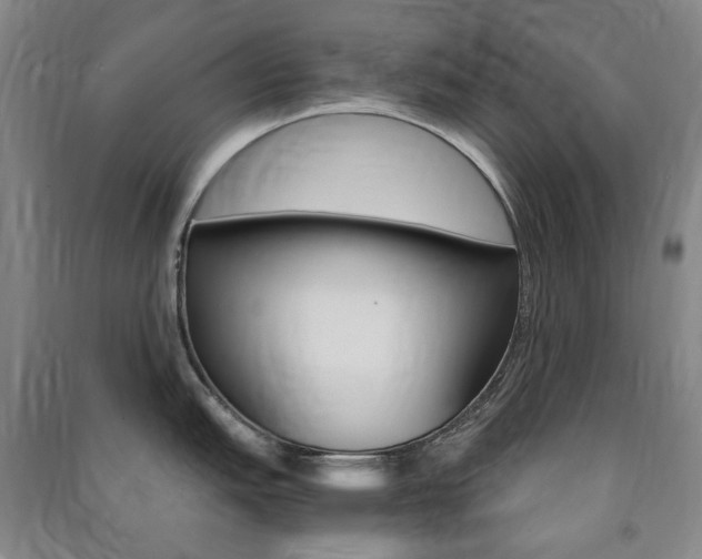 X0000091501151200708161229