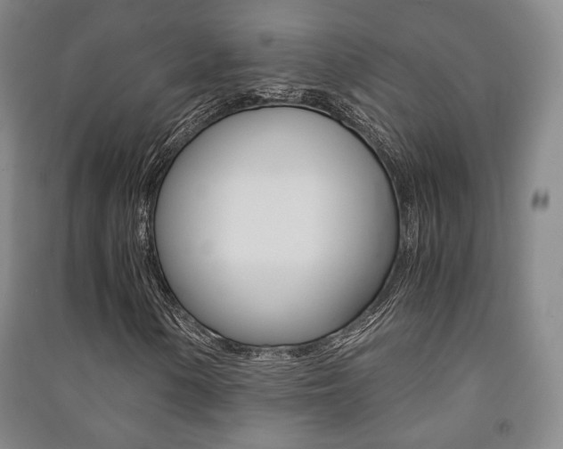 X0000091501154200708161228