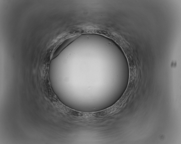 X0000091501157200708161228