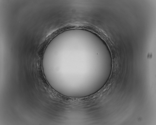 X0000091501158200708161228