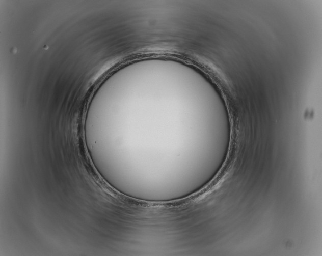 X0000091501162200708161228
