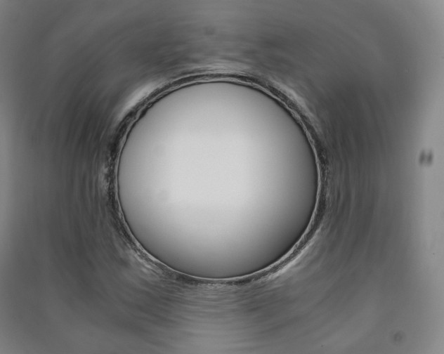 X0000091501163200708161228