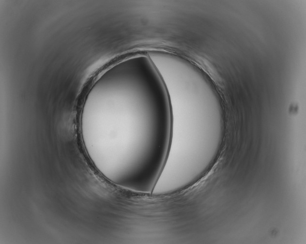 X0000091501164200708161228