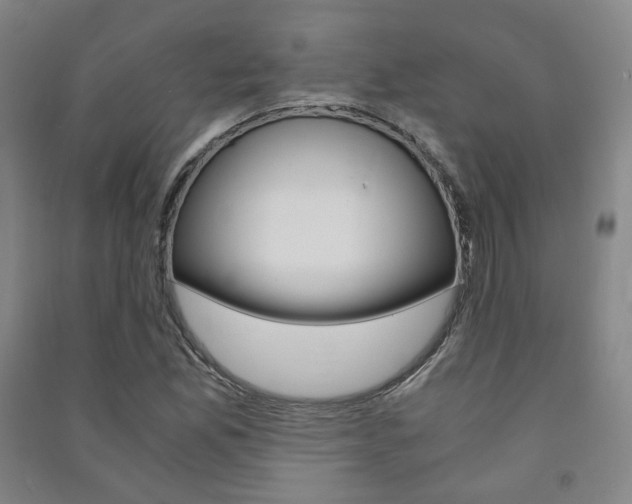 X0000091501165200708161228
