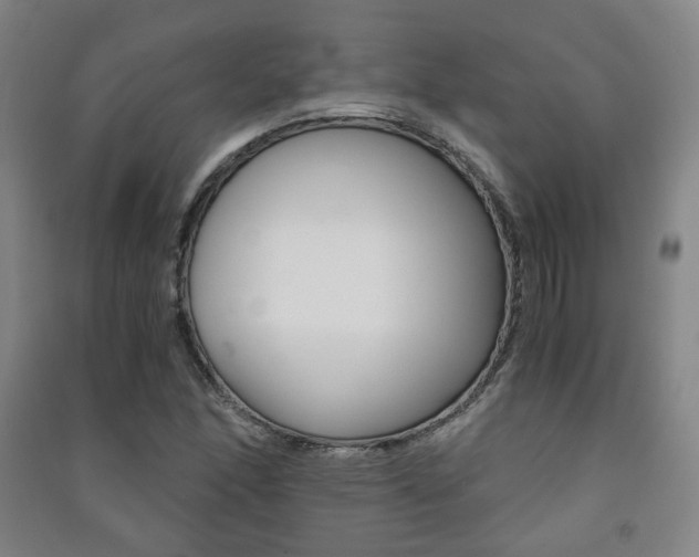X0000091501166200708161228