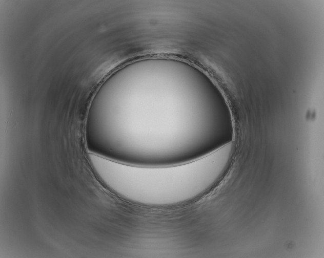 X0000091501169200708161228