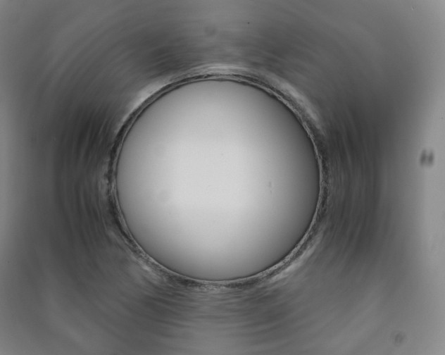 X0000091501170200708161228