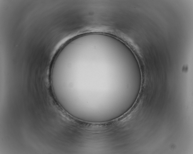 X0000091501174200708161228