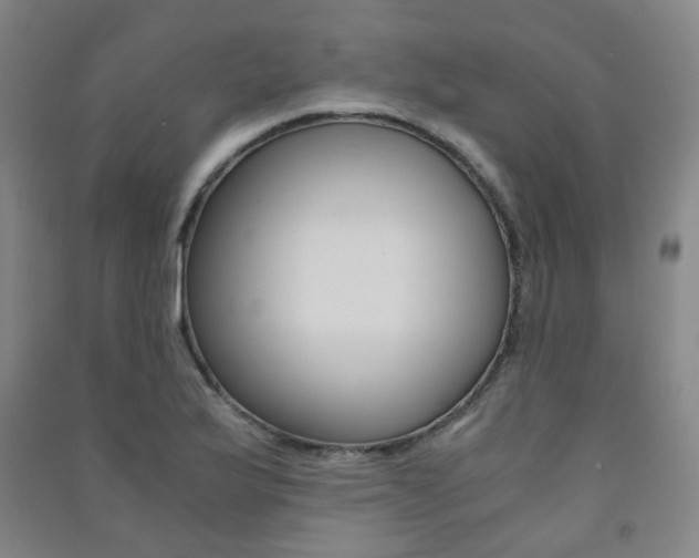 X0000091501175200708161228
