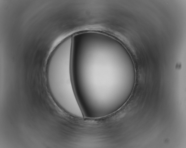 X0000091501176200708161228