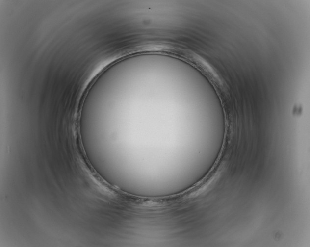 X0000091501178200708161228