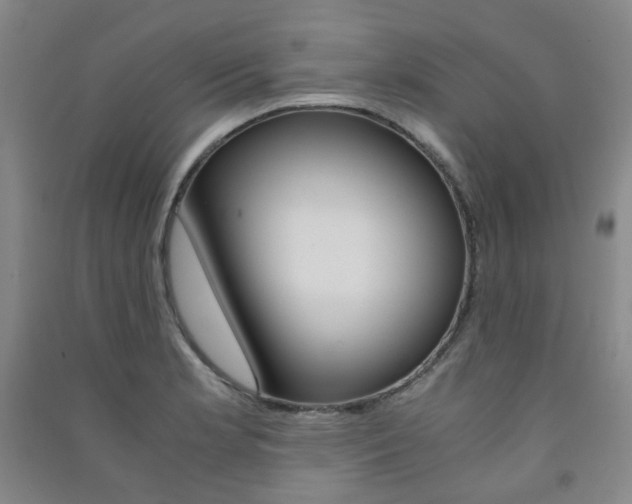 X0000091501181200708161228