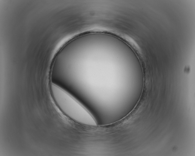 X0000091501183200708161228