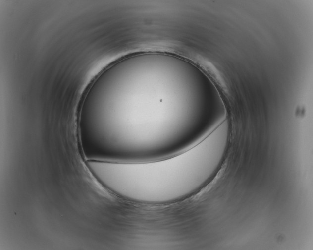 X0000091501184200708161228