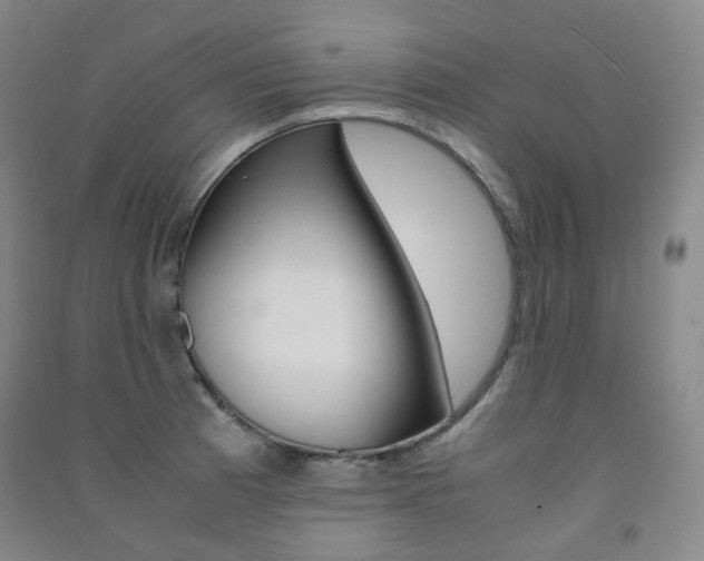 X0000091501185200708161228