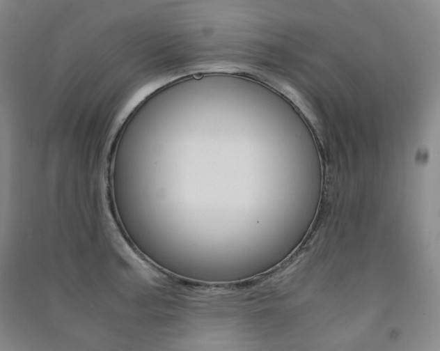 X0000091501187200708161228