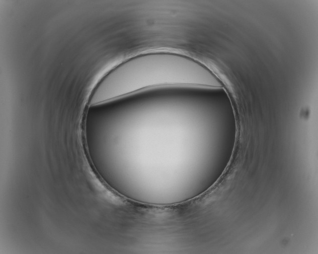 X0000091501189200708161228