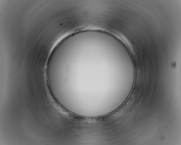 X0000091501190200708161228