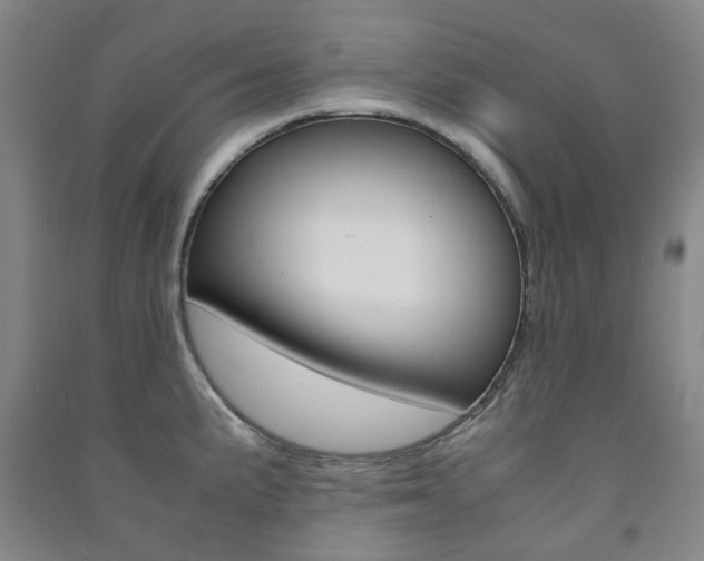 X0000091501191200708161228