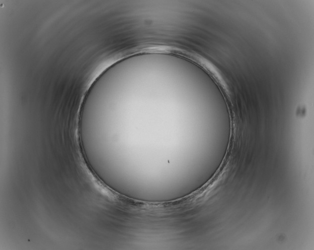 X0000091501194200708161228