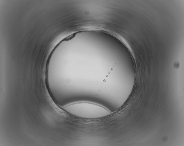 X0000091501195200708161227