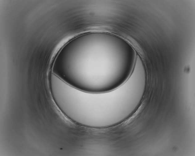 X0000091501196200708161227