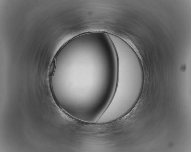 X0000091501197200708161227