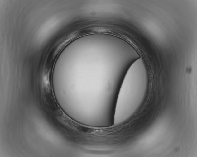 X0000091501198200708161227