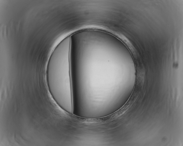 X0000091501199200708161227