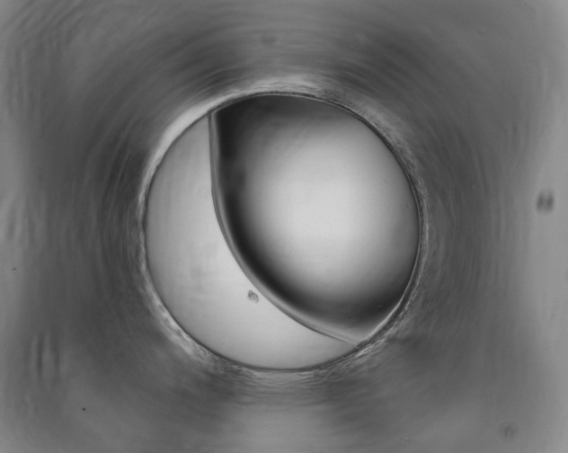 X0000091501200200708161227