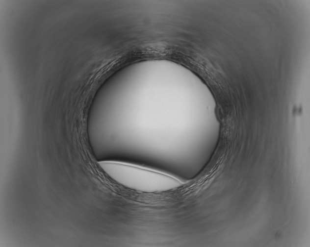X0000091501201200708161227