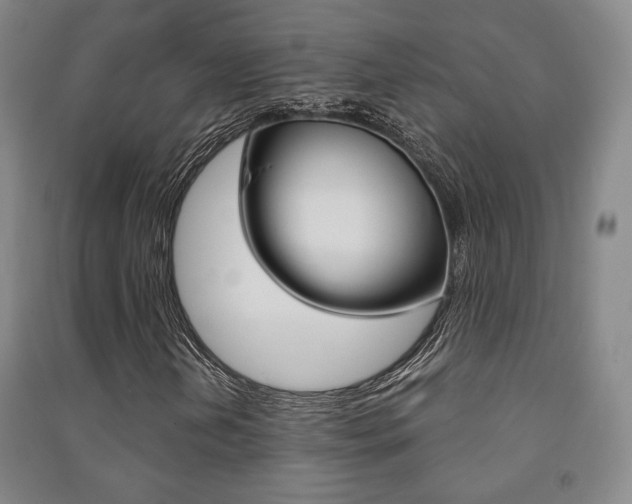 X0000091501202200708161227